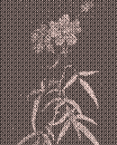 Dithered flower with transparency preserved