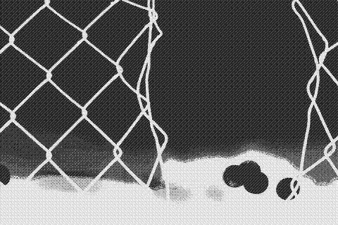 featured-fence-2.jpg