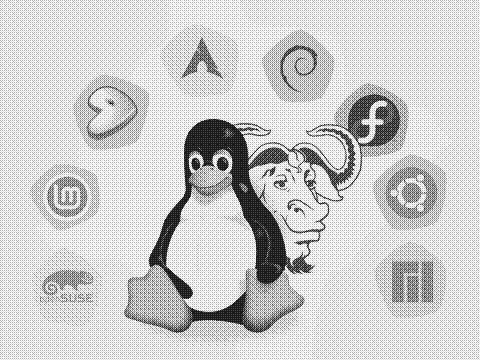 Tux the Linux penguin surrounded by the logos of several Linux distributions